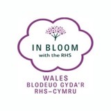 2019 Gold Award with Wales in Bloom